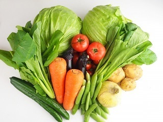 野菜.jpg